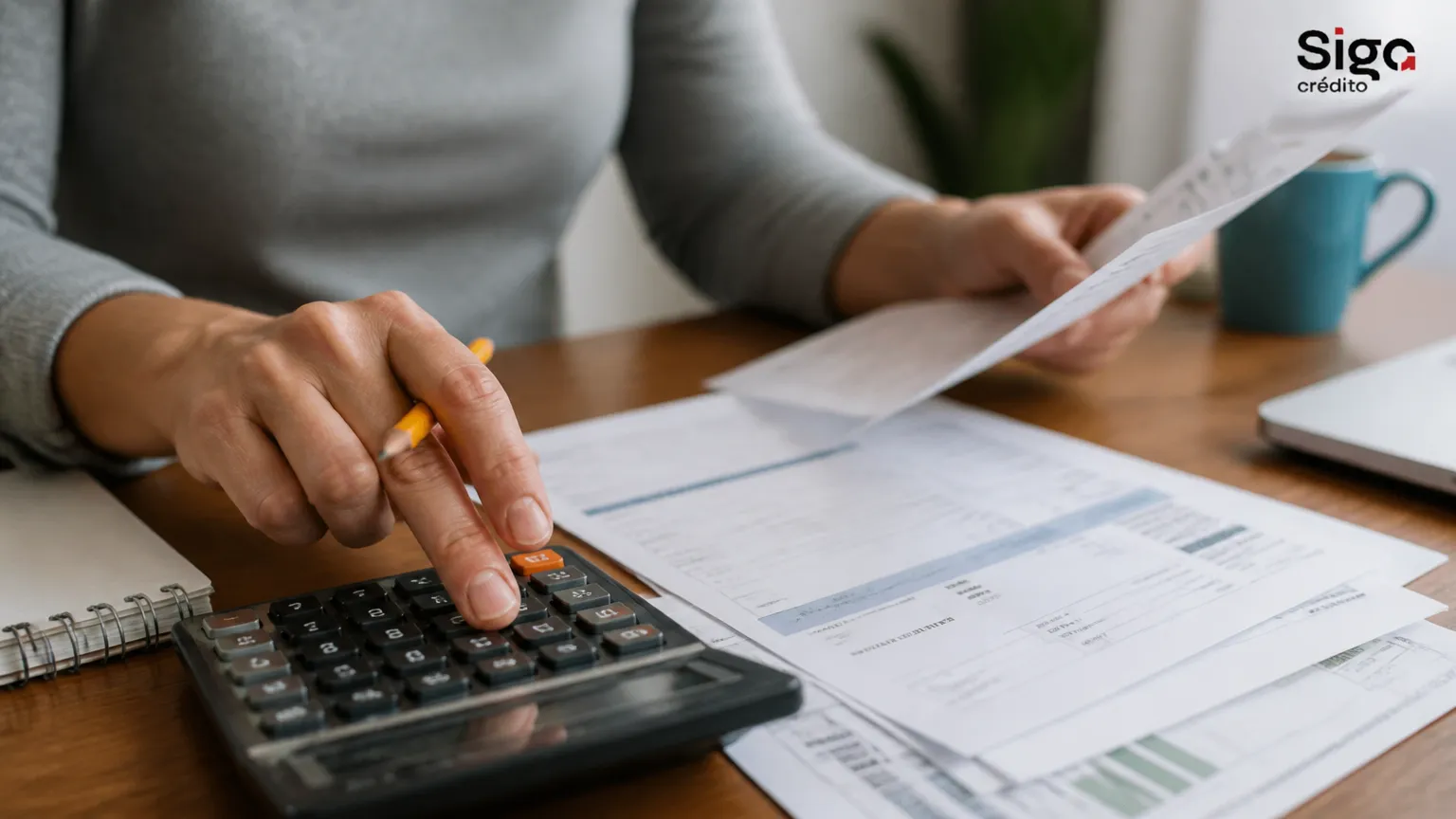 Organização de finanças para avaliar se posso fazer 2 empréstimo na conta de luz de forma segura.