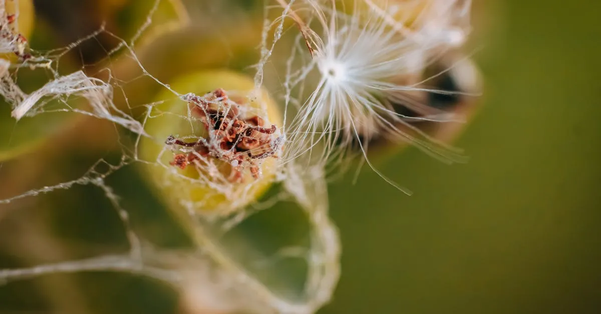 Visão macro de estrutura celular em divisão controlada, simbolizando crescer devagar estratégia e expansão orgânica no setor de biotecnologia industrial.