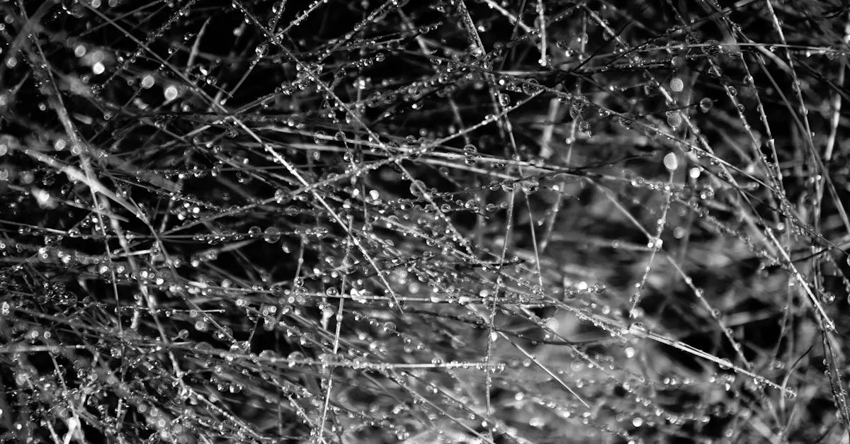 Como Criar Página de Vendas em Elementor sem Código 2 Imagem relacionada a: Passo a Passo: Criando Sua Página de Vendas