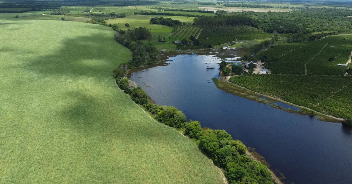 Vista aérea de paisagem rural produtiva com campos e pastagens, simbolizando o sucesso do financiamento de imóvel rural.