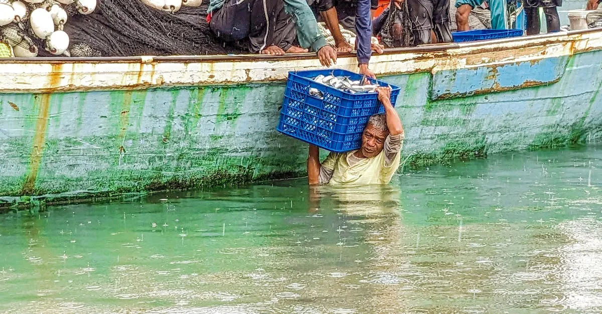 Ilustração da seção: Compreendendo a Lei de Diligência Prévia da Cadeia de Suprimentos (LkSG)