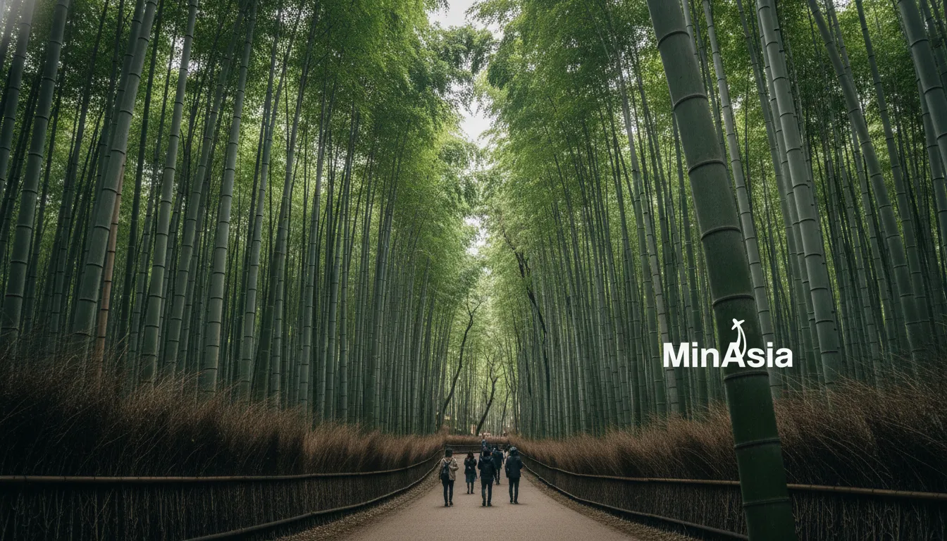 Floresta de bambu Arashiyama em Kyoto Japão, com raios de luz e visitantes no caminho. Natureza serena.