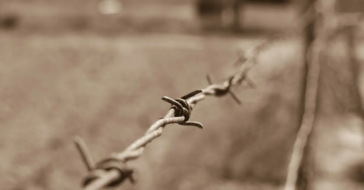 Ilustração da seção: O que é o CIPATR?