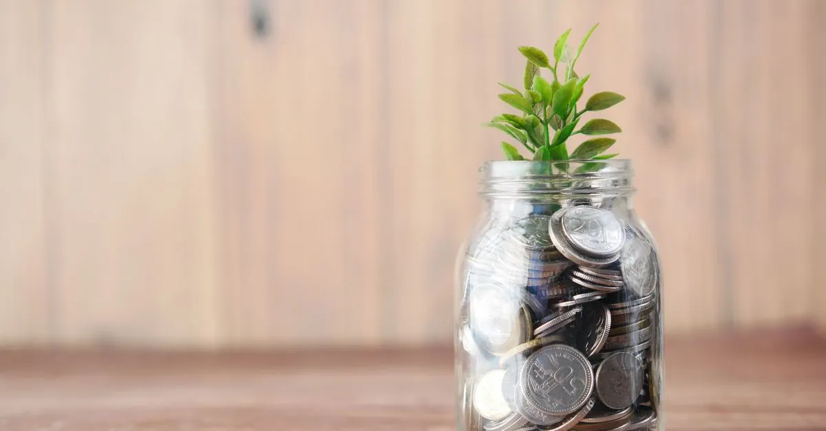 Planta crescendo sobre moedas simbolizando a economia ao antecipar parcelas de empréstimo.