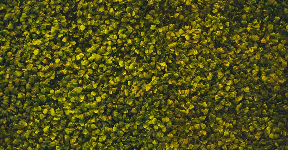 Close-up da textura realista de uma grama sintética de alta qualidade para parede, destacando beleza e durabilidade.