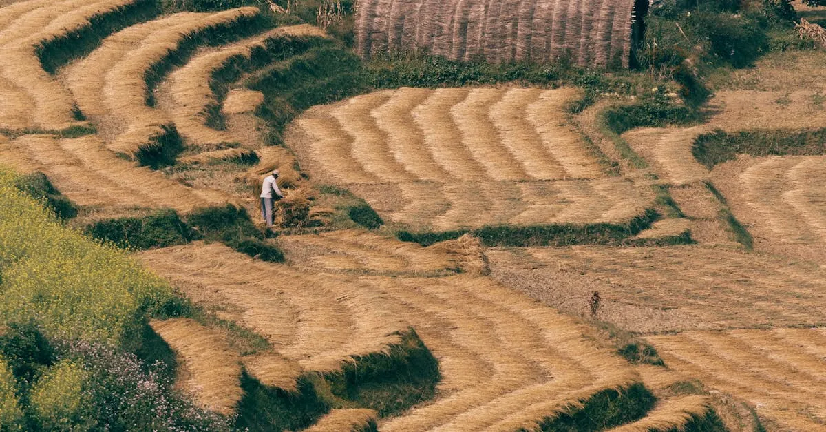 Imagem relacionada a: Estratégias do Programa Salute para o manejo biológico