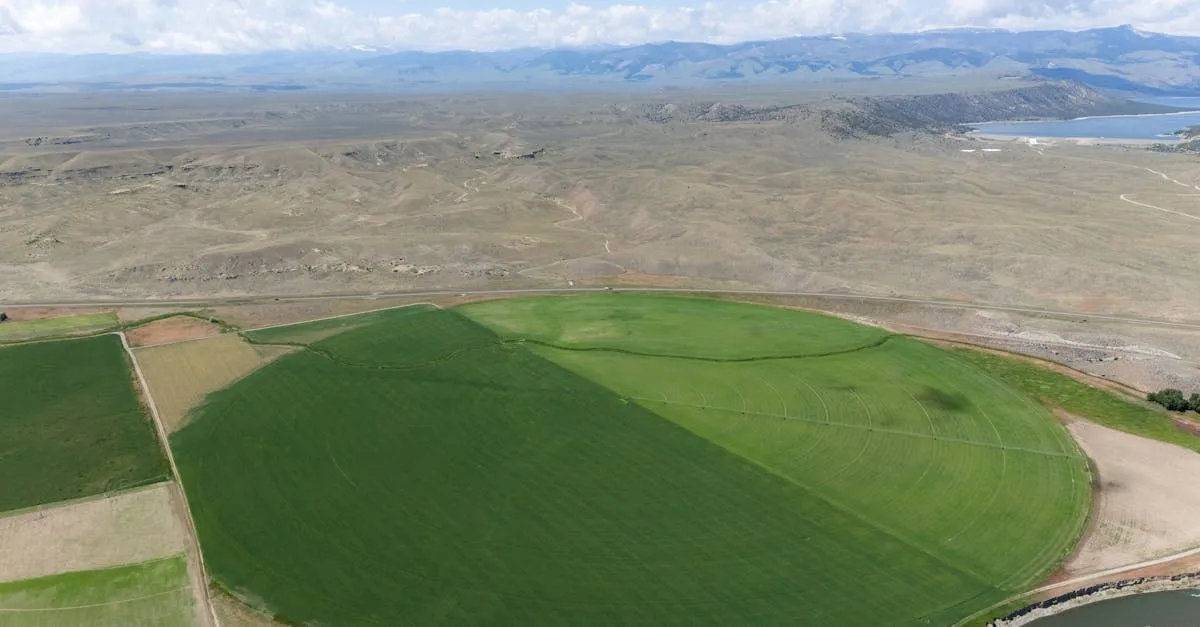 Ilustração da seção: Fundamentos Legais do ITR